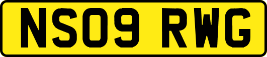 NS09RWG