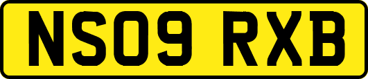NS09RXB