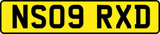 NS09RXD