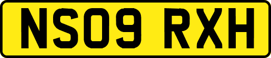 NS09RXH