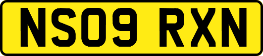 NS09RXN