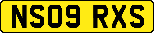 NS09RXS