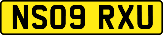 NS09RXU