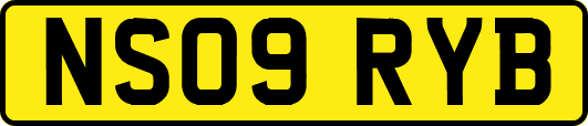 NS09RYB