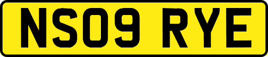 NS09RYE