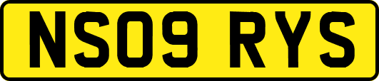 NS09RYS