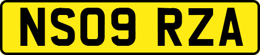 NS09RZA