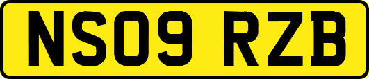 NS09RZB