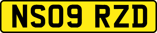 NS09RZD