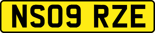 NS09RZE