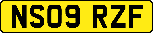 NS09RZF