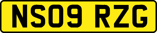NS09RZG