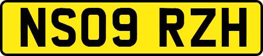 NS09RZH