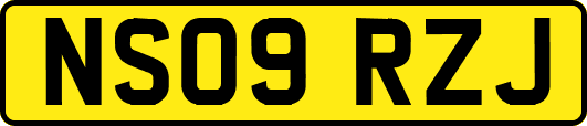 NS09RZJ