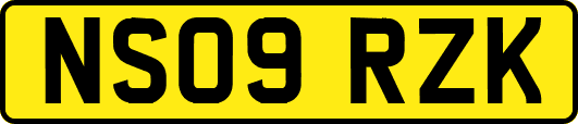 NS09RZK