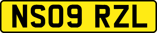 NS09RZL