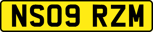 NS09RZM
