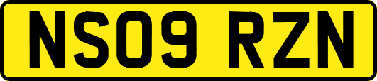 NS09RZN