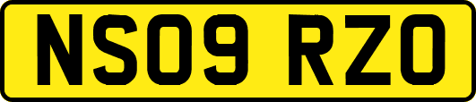 NS09RZO