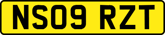 NS09RZT