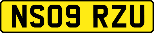 NS09RZU