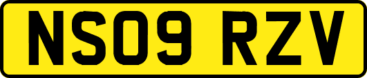 NS09RZV