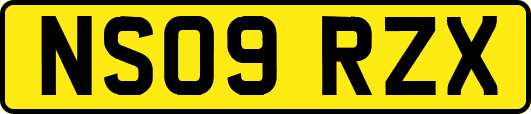 NS09RZX