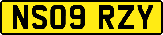NS09RZY