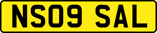 NS09SAL