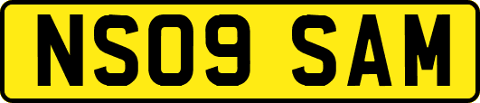 NS09SAM