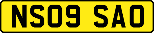 NS09SAO