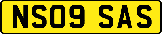 NS09SAS