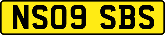 NS09SBS