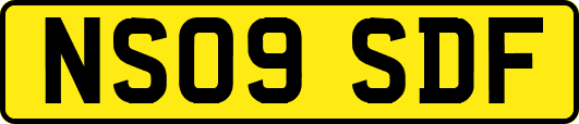 NS09SDF