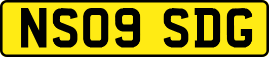 NS09SDG