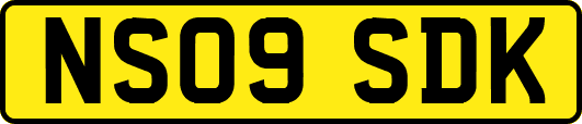 NS09SDK