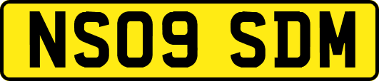 NS09SDM