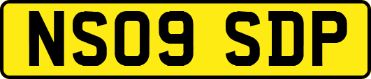NS09SDP
