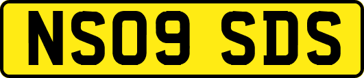 NS09SDS