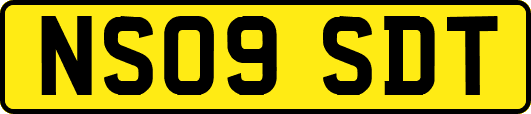 NS09SDT