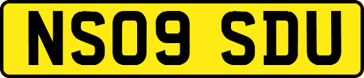 NS09SDU