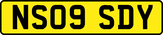 NS09SDY