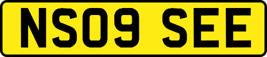 NS09SEE