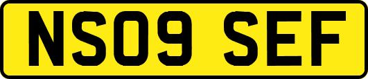 NS09SEF