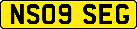 NS09SEG