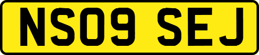 NS09SEJ