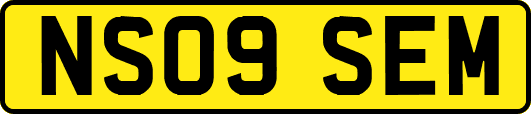NS09SEM
