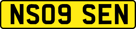 NS09SEN