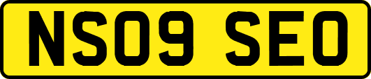 NS09SEO