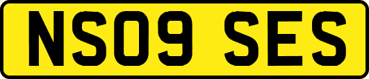 NS09SES
